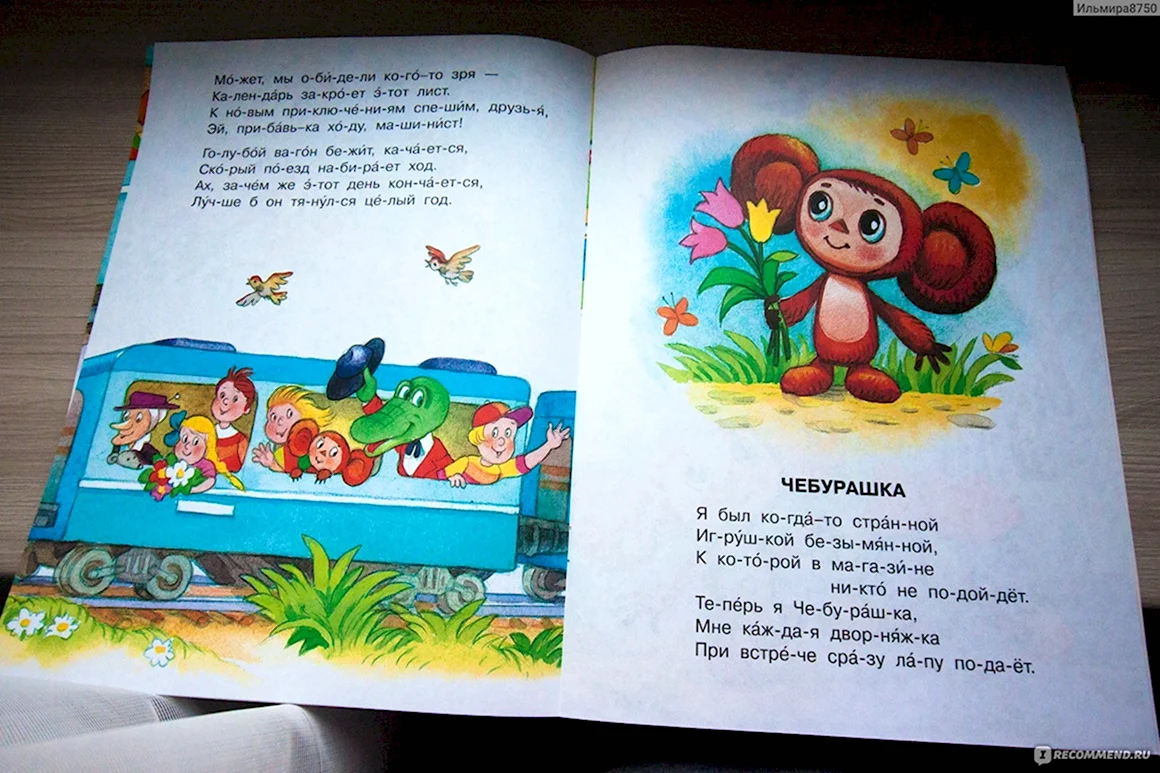 Книга голубой вагон