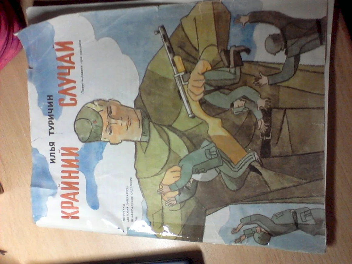 Книга крайний случай Илья Туричин