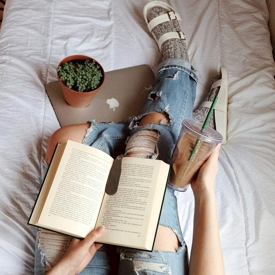 Книга с ногами