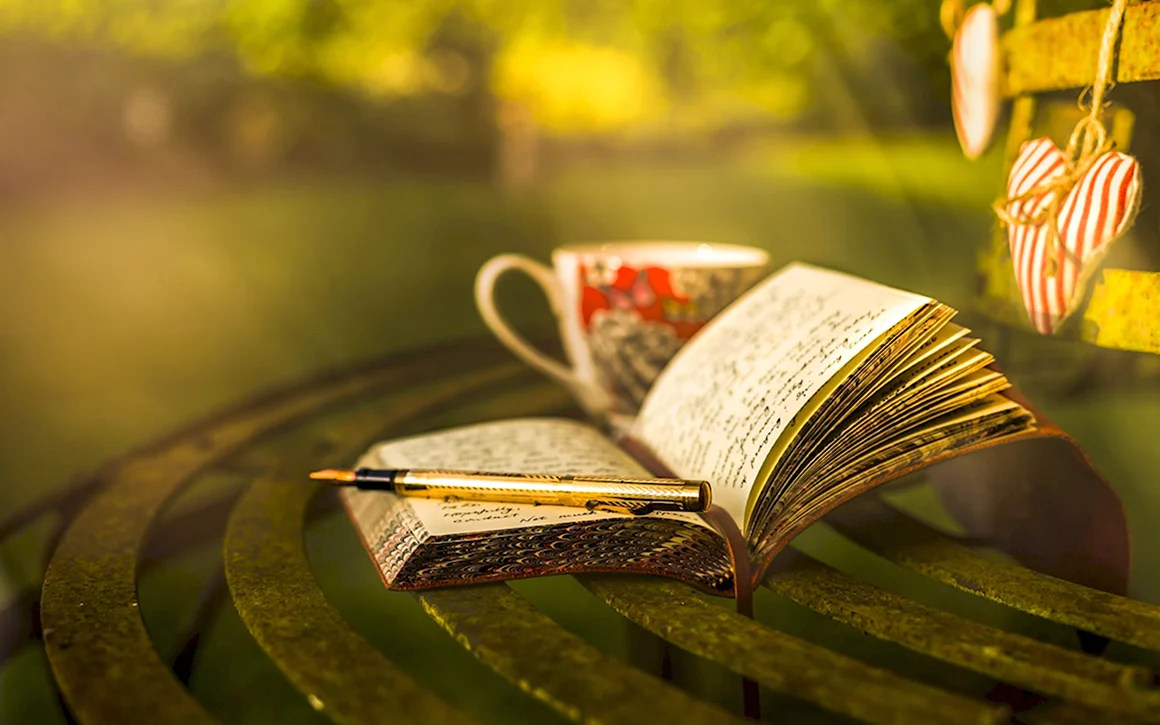 Книга с ручкой