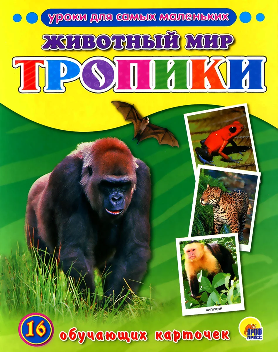 Книга животный мир