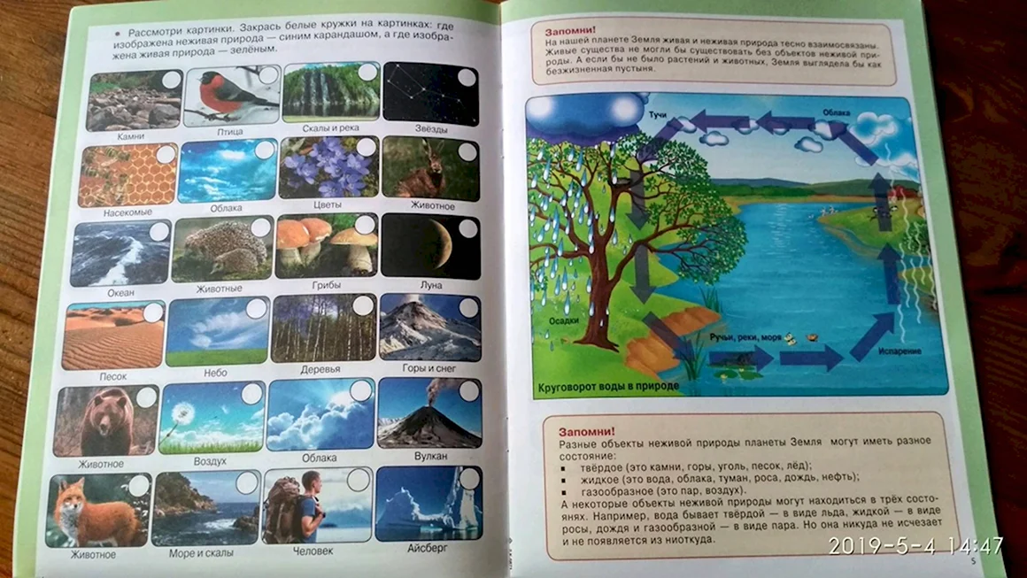 Книги для детей о неживой природе