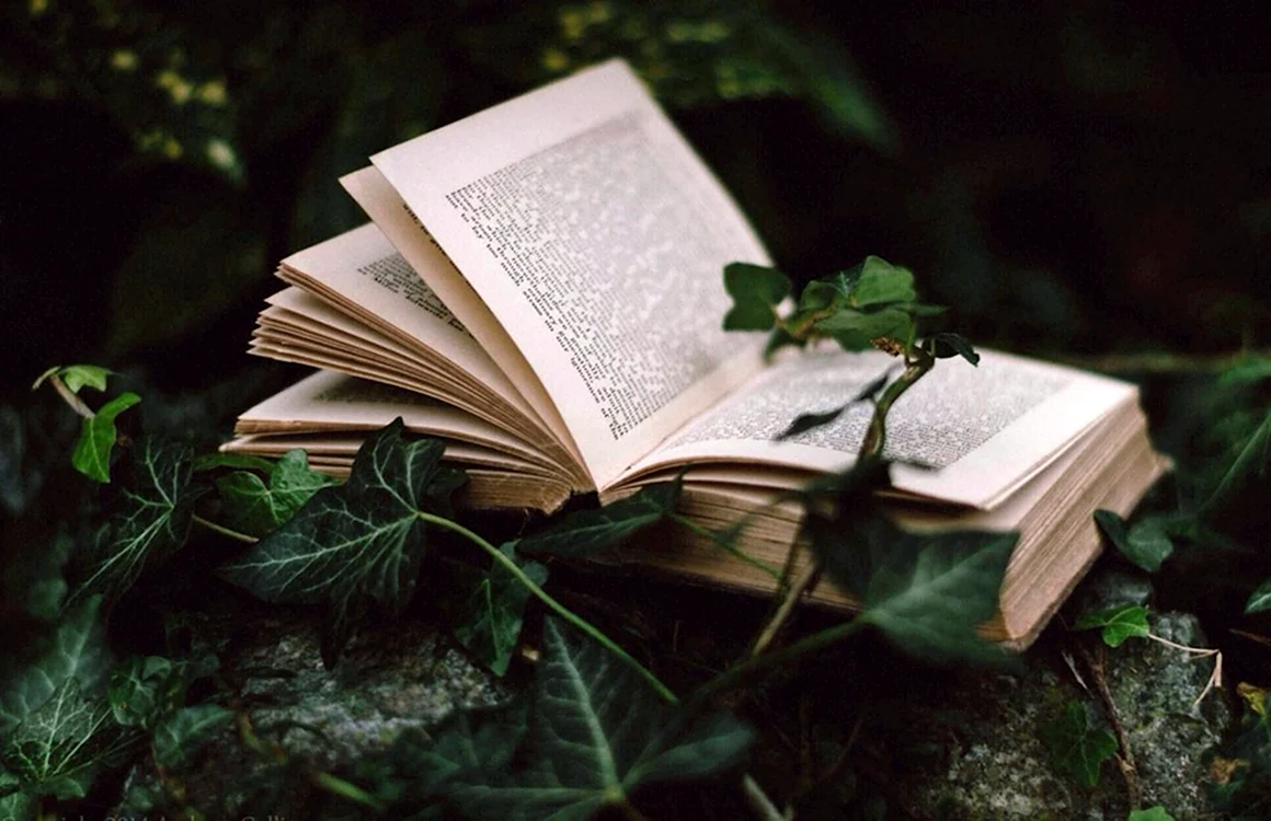 Книги Эстетика