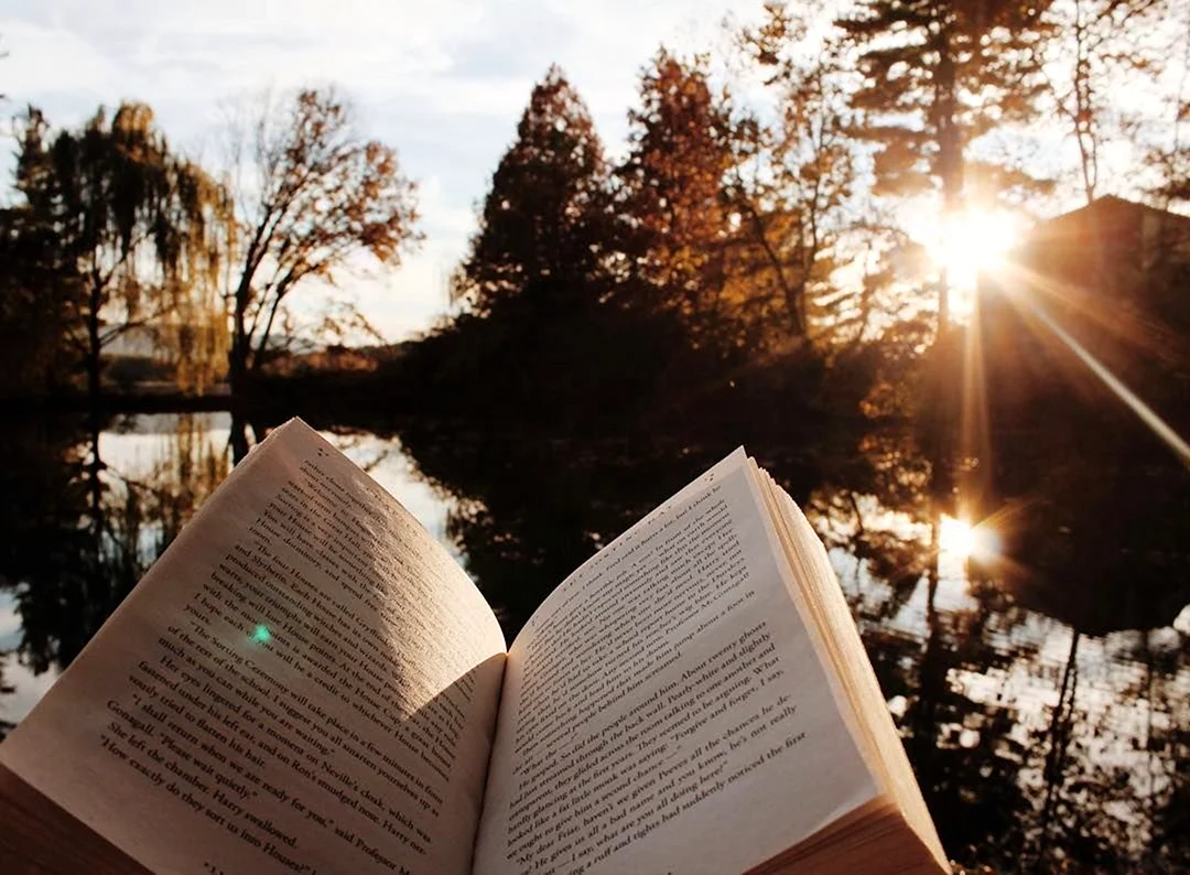 Книги Эстетика