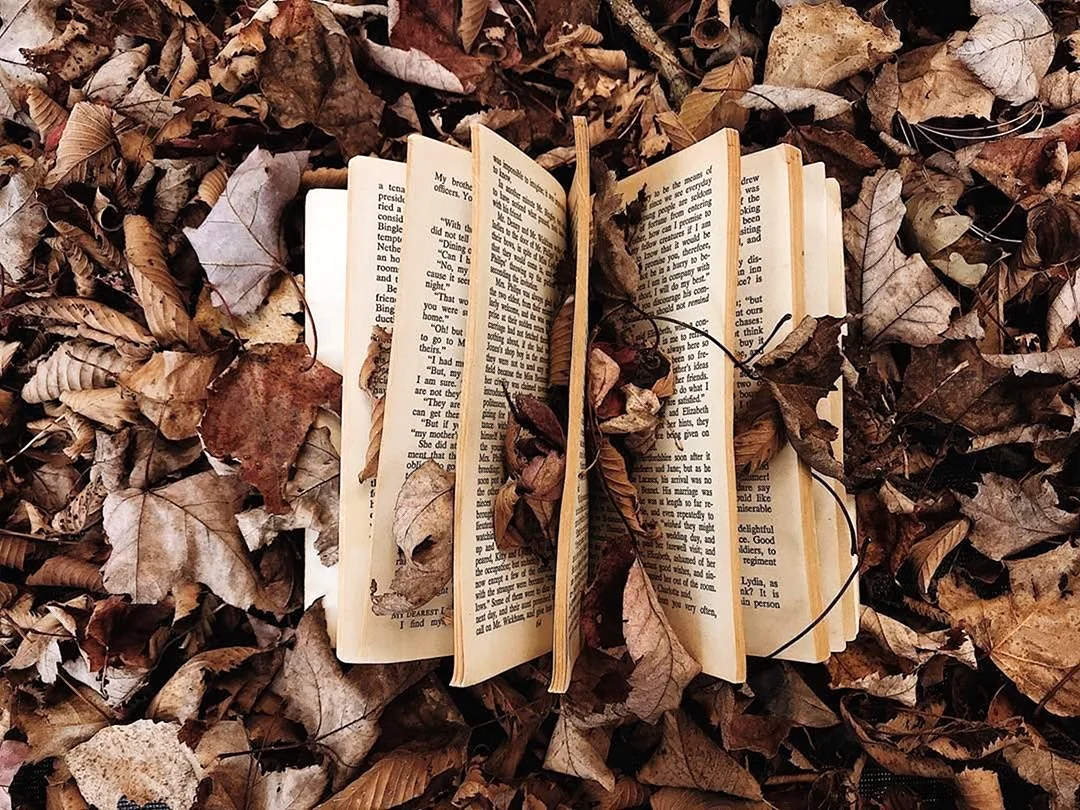 Книги Эстетика