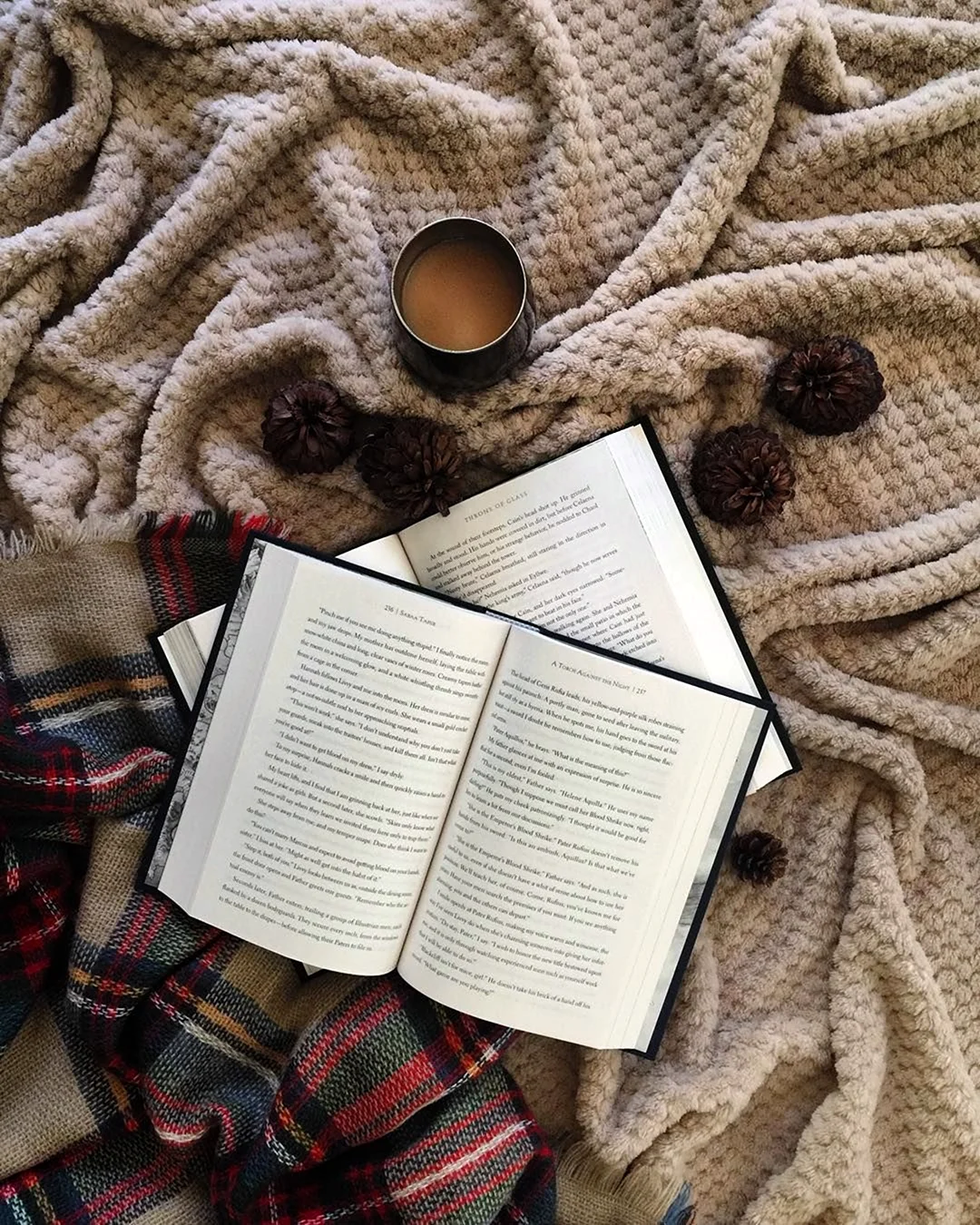Книги Эстетика