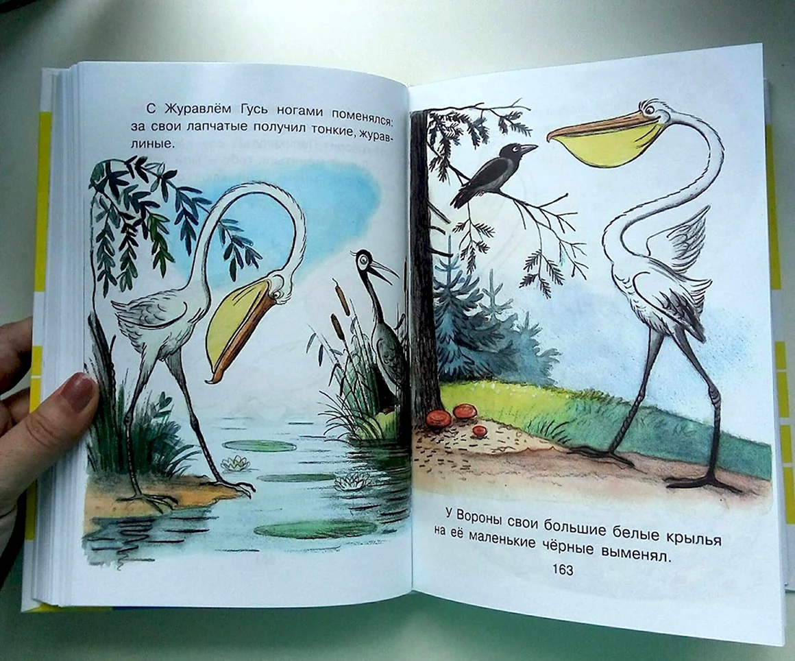 Книги Сутеева