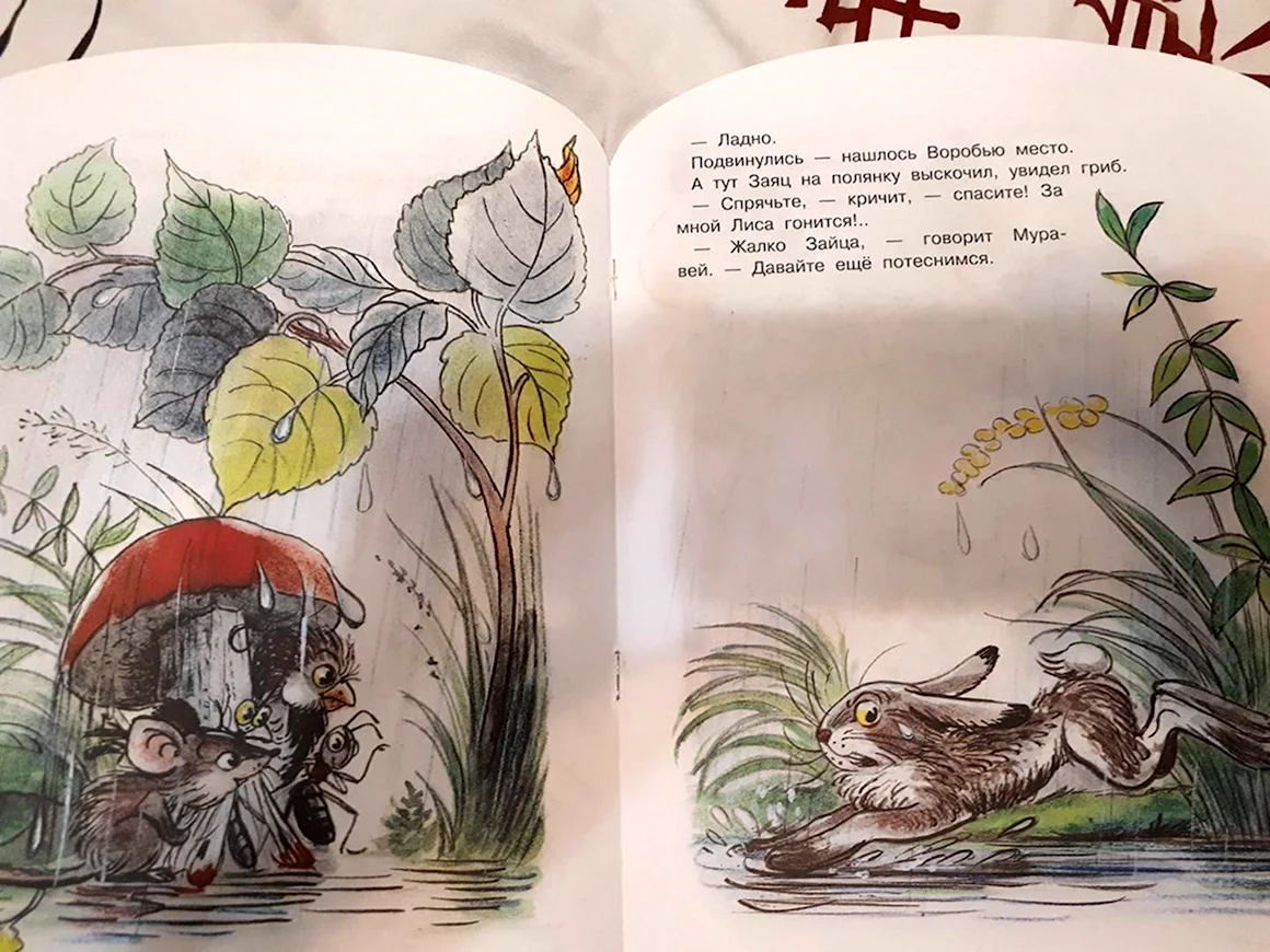 Книжка под грибом Сутеев