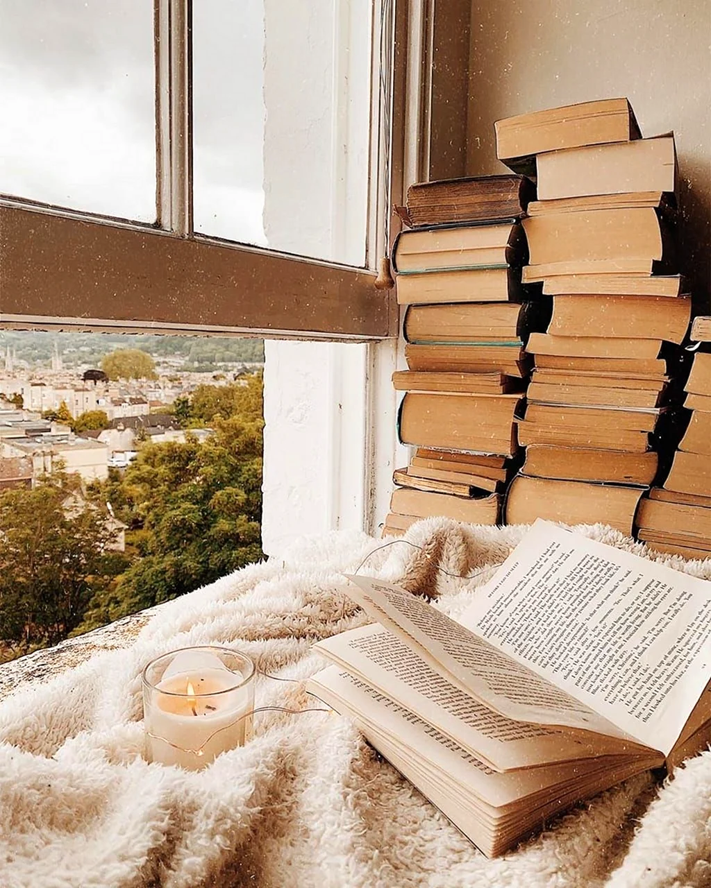 Книжная Эстетика