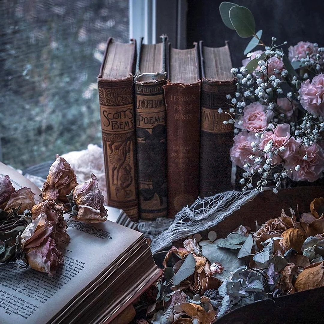 Книжная Эстетика