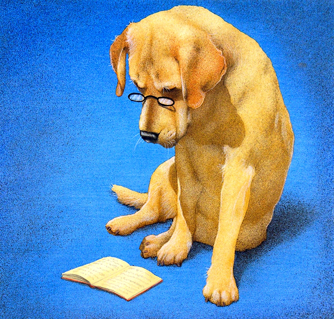 Книжные собаки