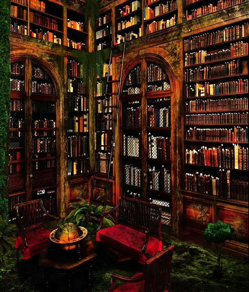 Книжный шкаф Гарри Поттер