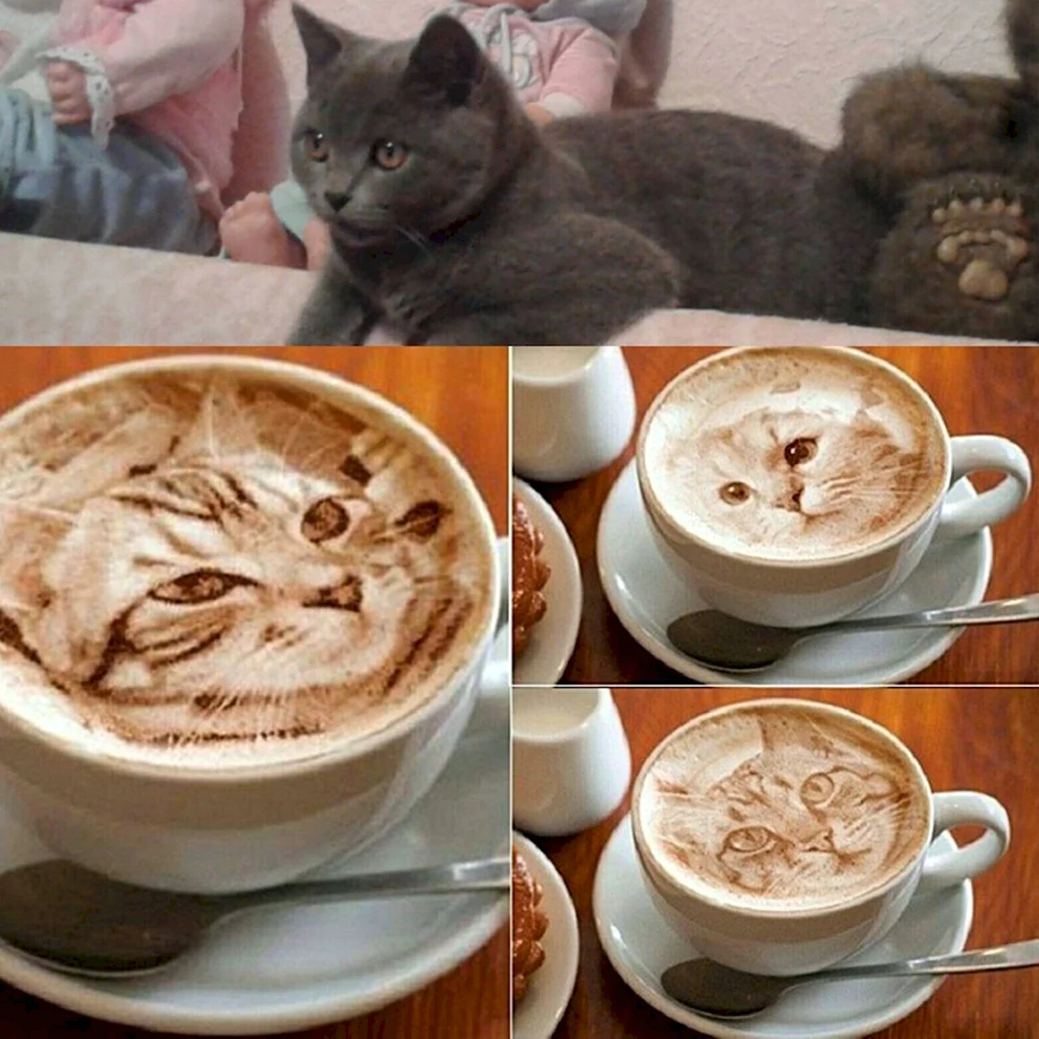 Кофе рисунок