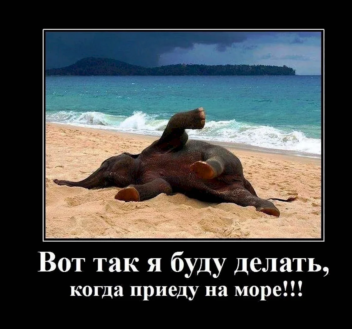 Когда наконец приехал на море