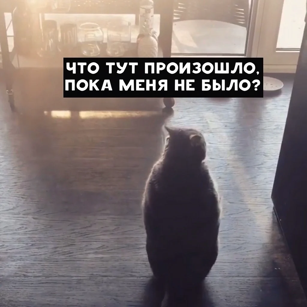 Когда выходить на работу