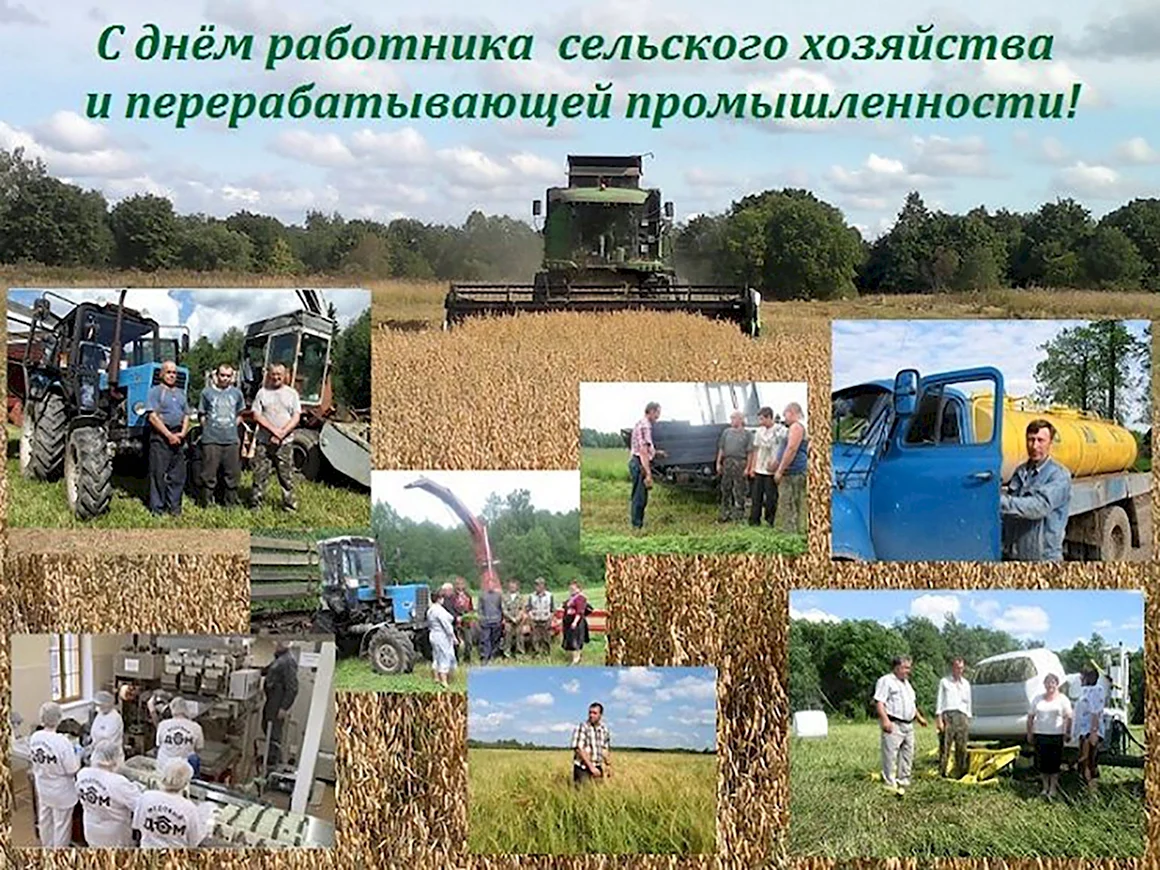 Коллаж сельского хозяйства и перерабатывающей промышленности