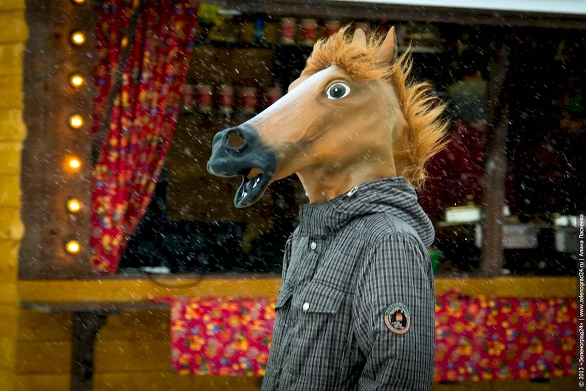 Конь в пальто