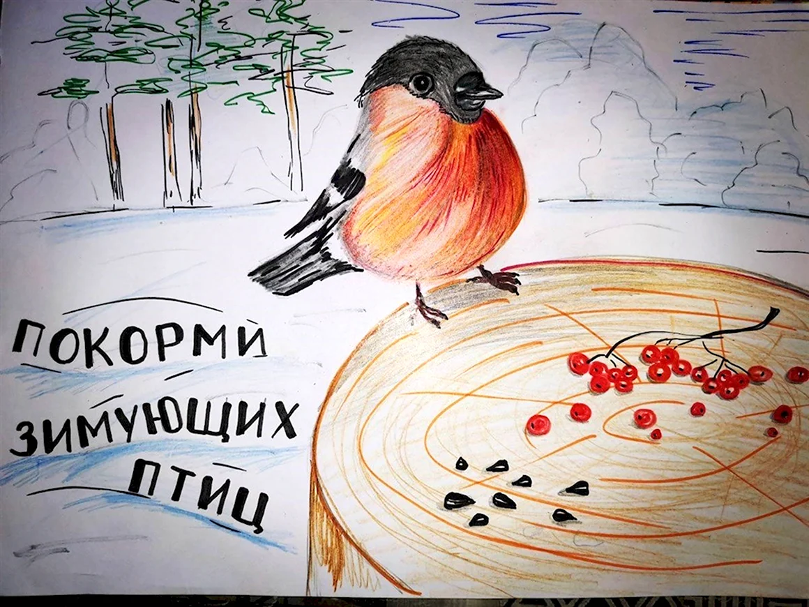 Конкурс Покормите птиц зимой 2020