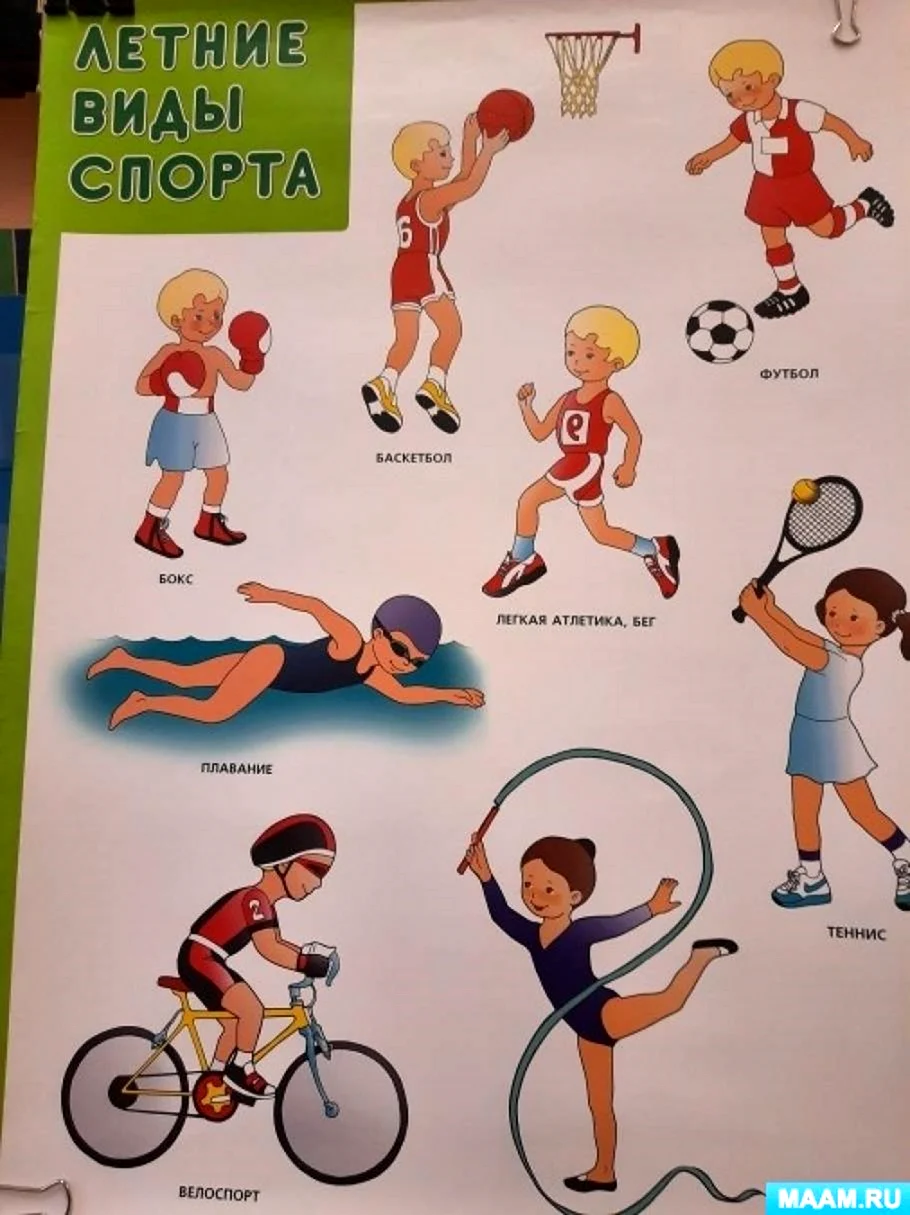 Конспект занятия летний вид спорта для детей