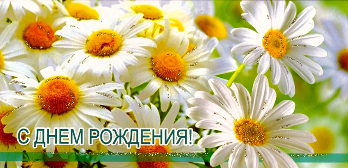 Конверт для денег ромашки
