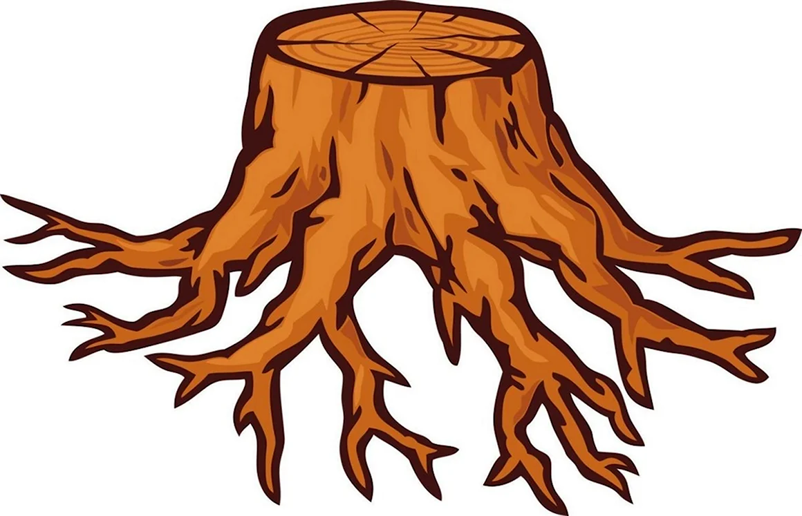 Корень для детей