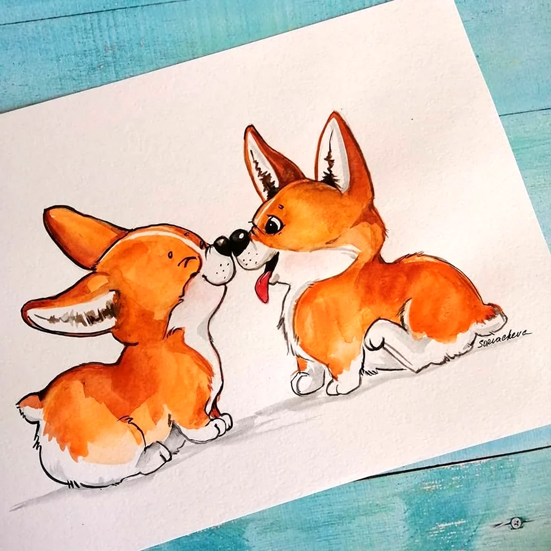 Корги акварелью