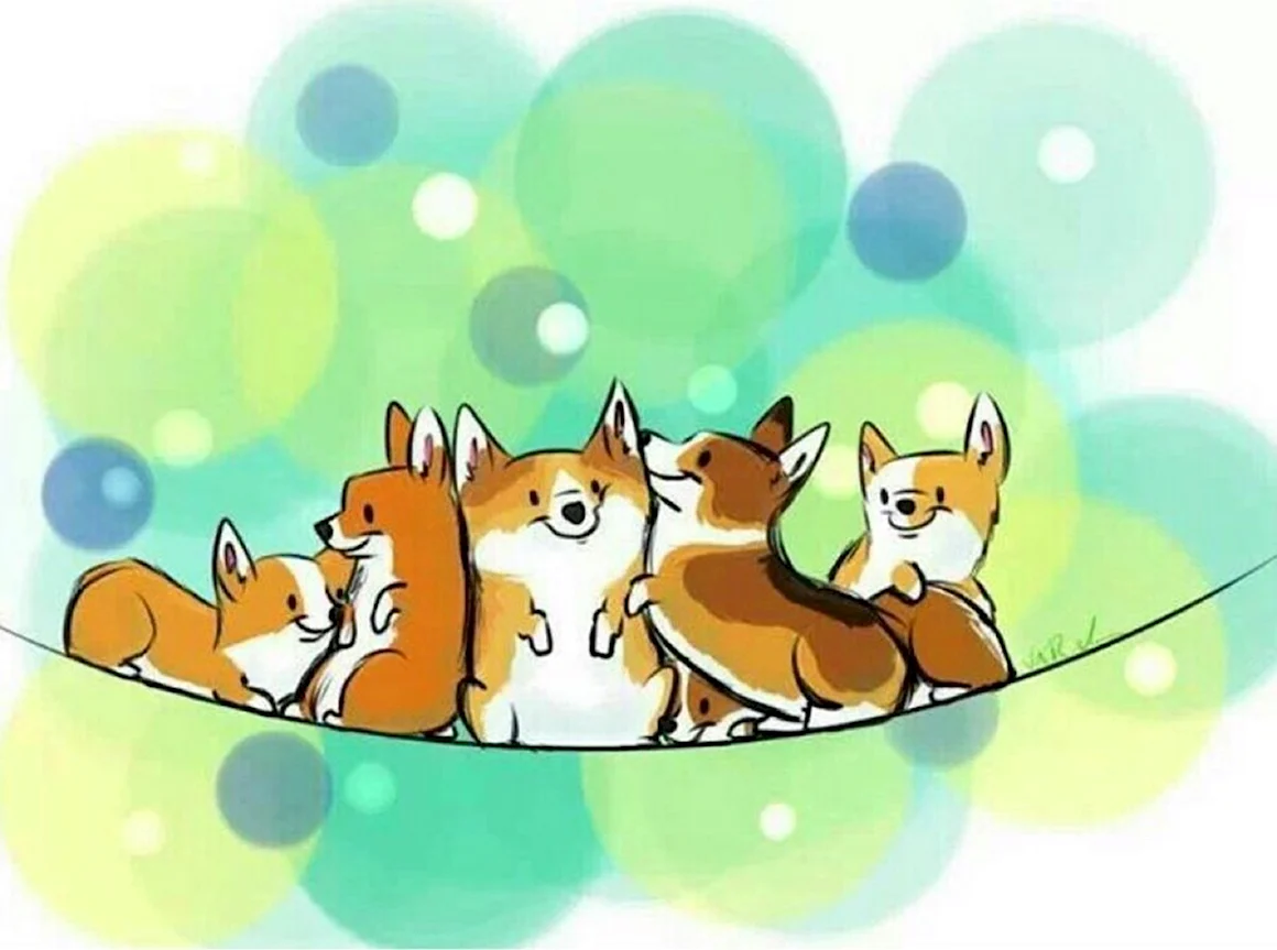 Корги арт