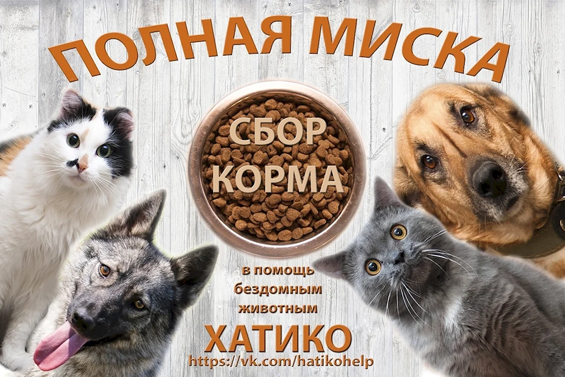 Корма для бездомных животных