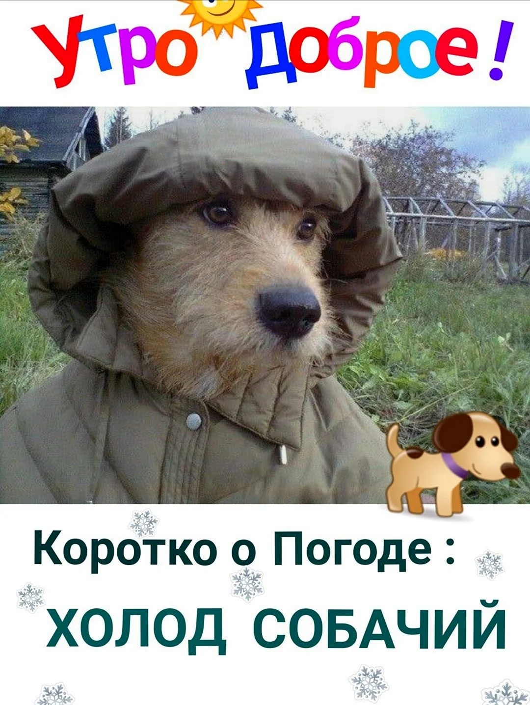 Коротко о погоде холод собачий