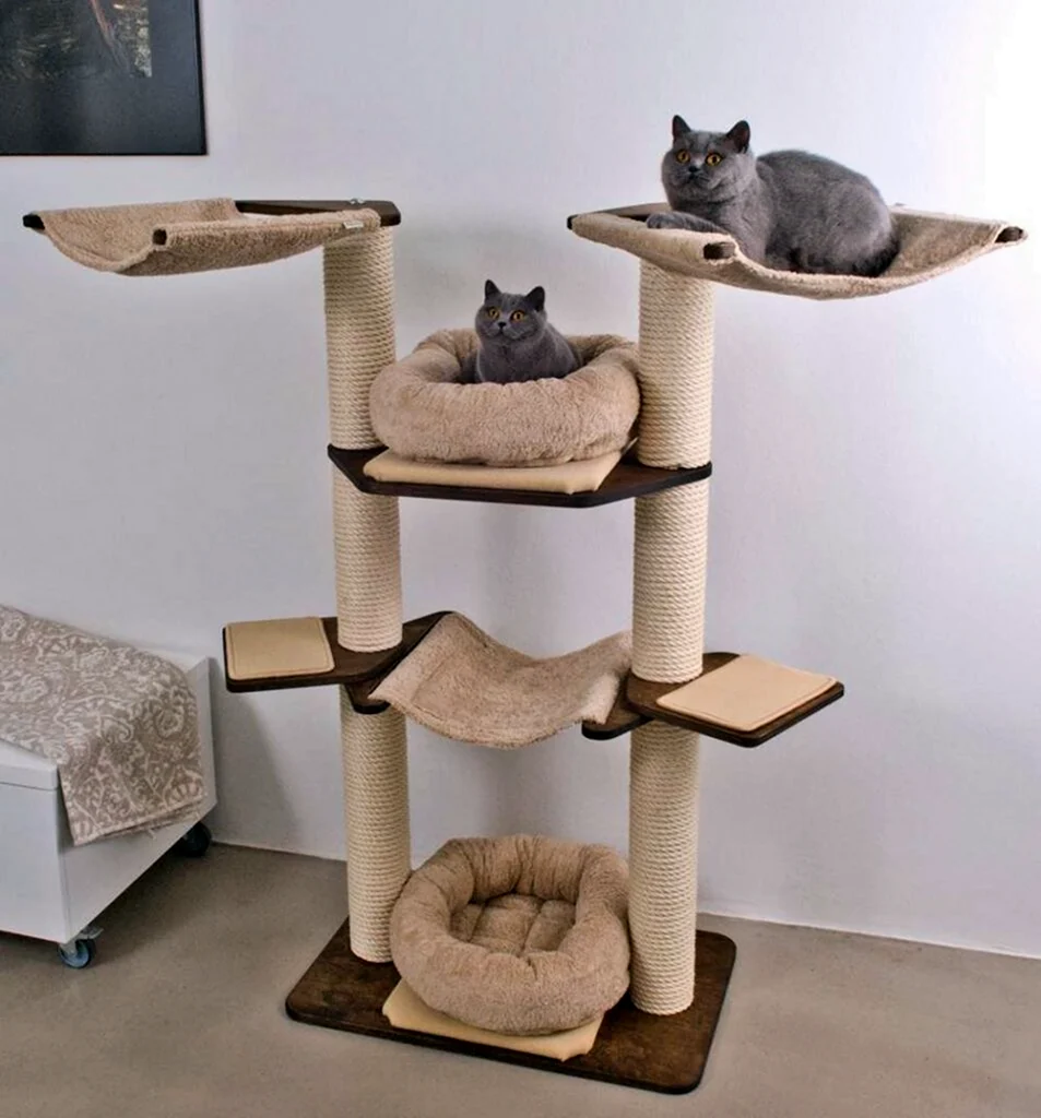 Кошачий домик