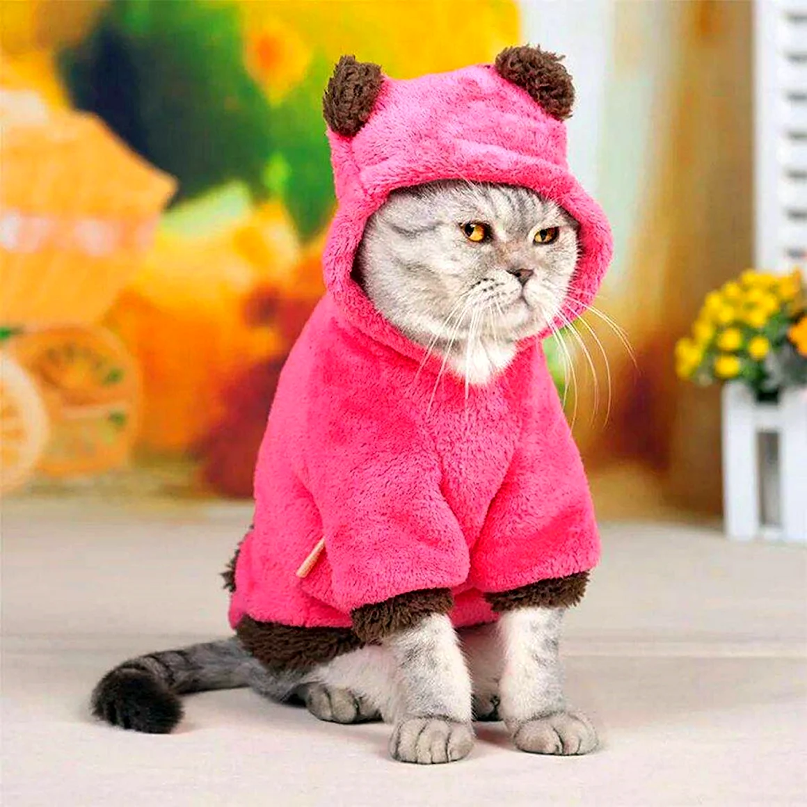 Кошечка Баттерс кошечка
