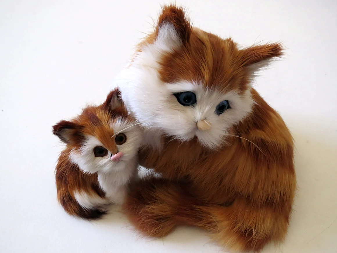 Кошечка настоящая