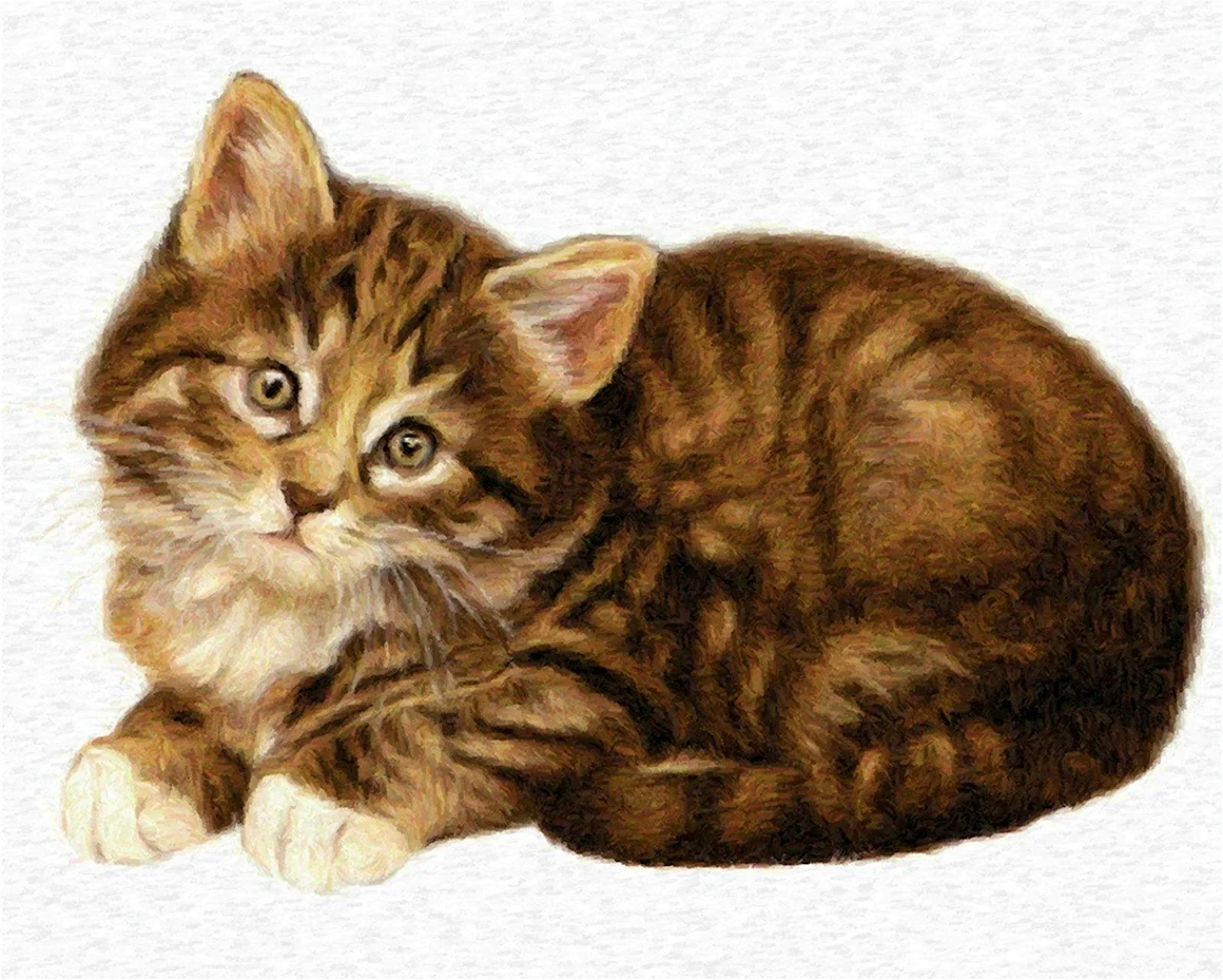 Кошка для детей