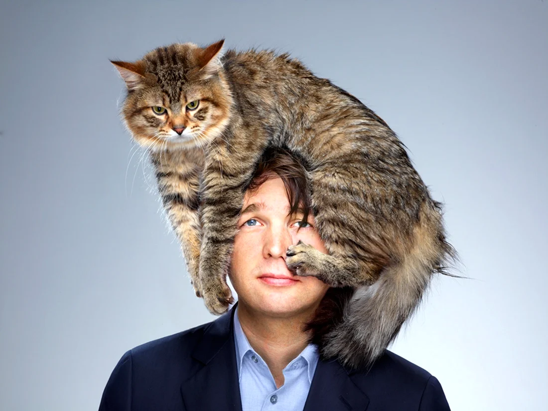 Кошка и хозяин