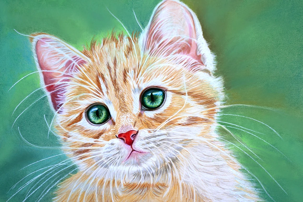 Кошка рисунок