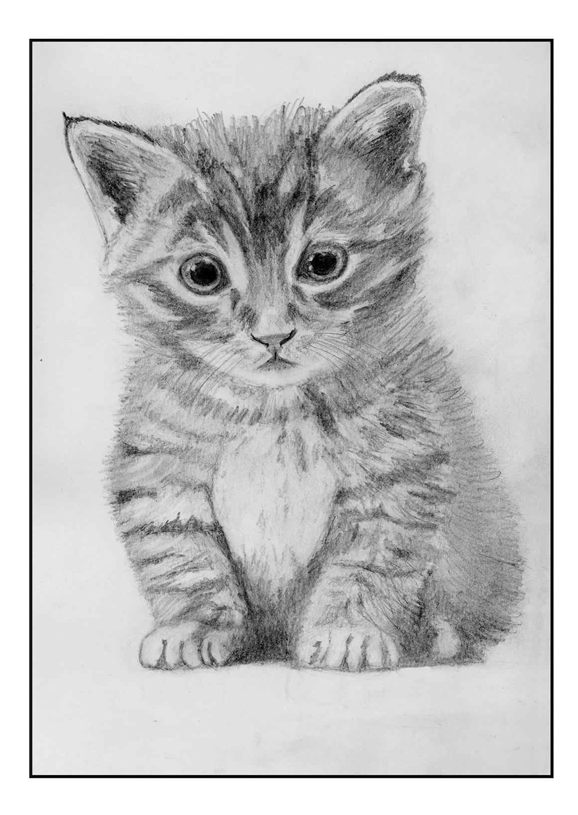 Кошка рисунок карандашом