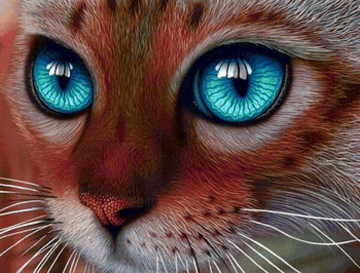 Кошка с красивыми глазами