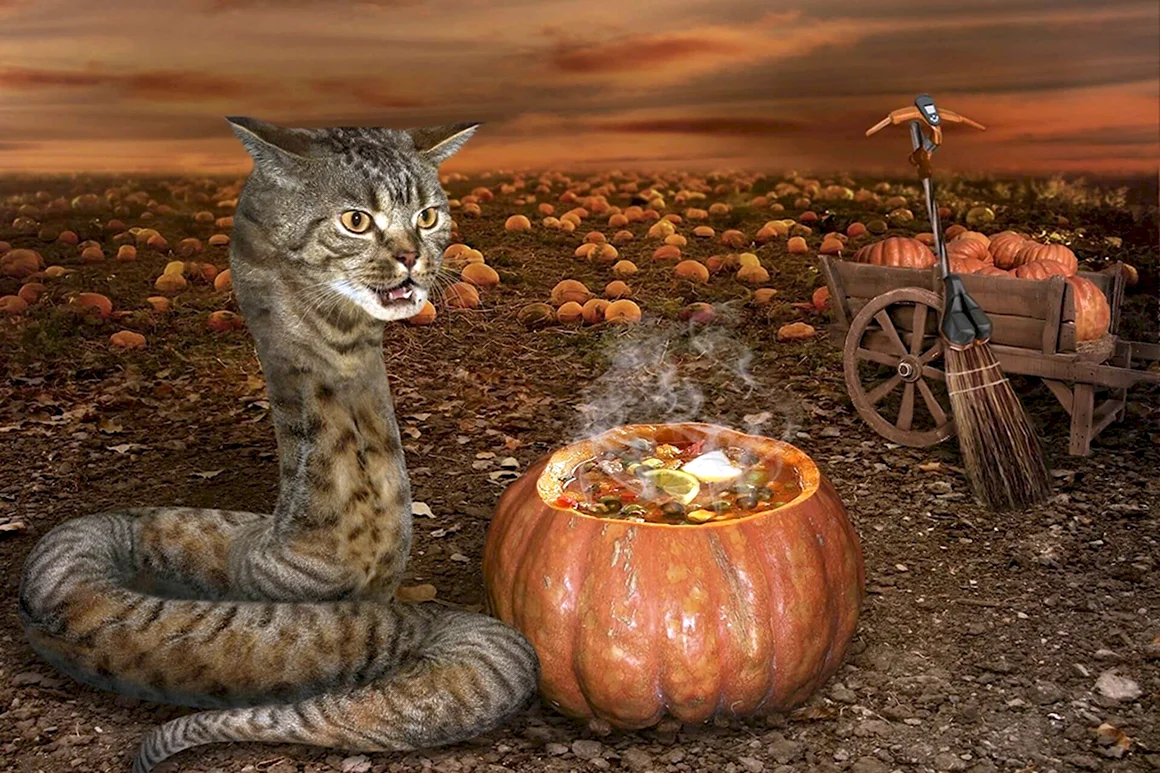 Кошки и змеи
