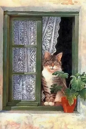 Кошки на окошке
