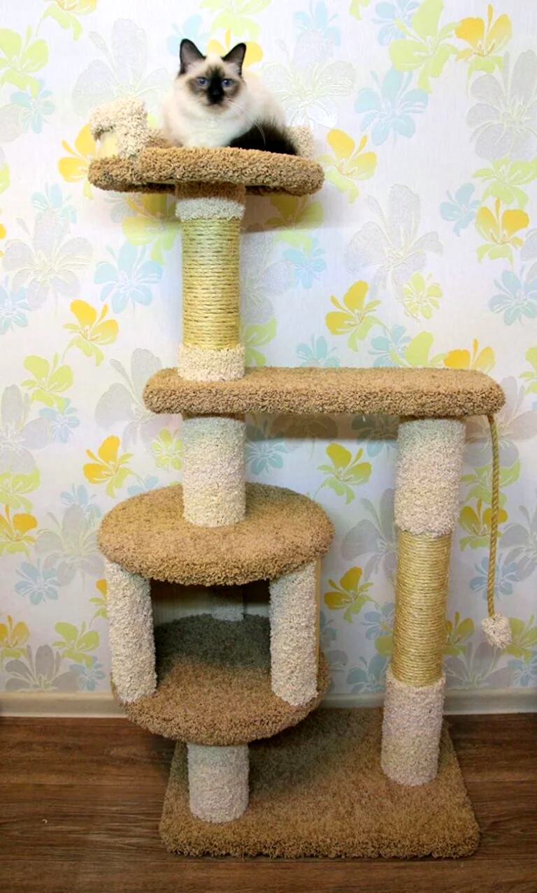 Кошкин дом когтеточка