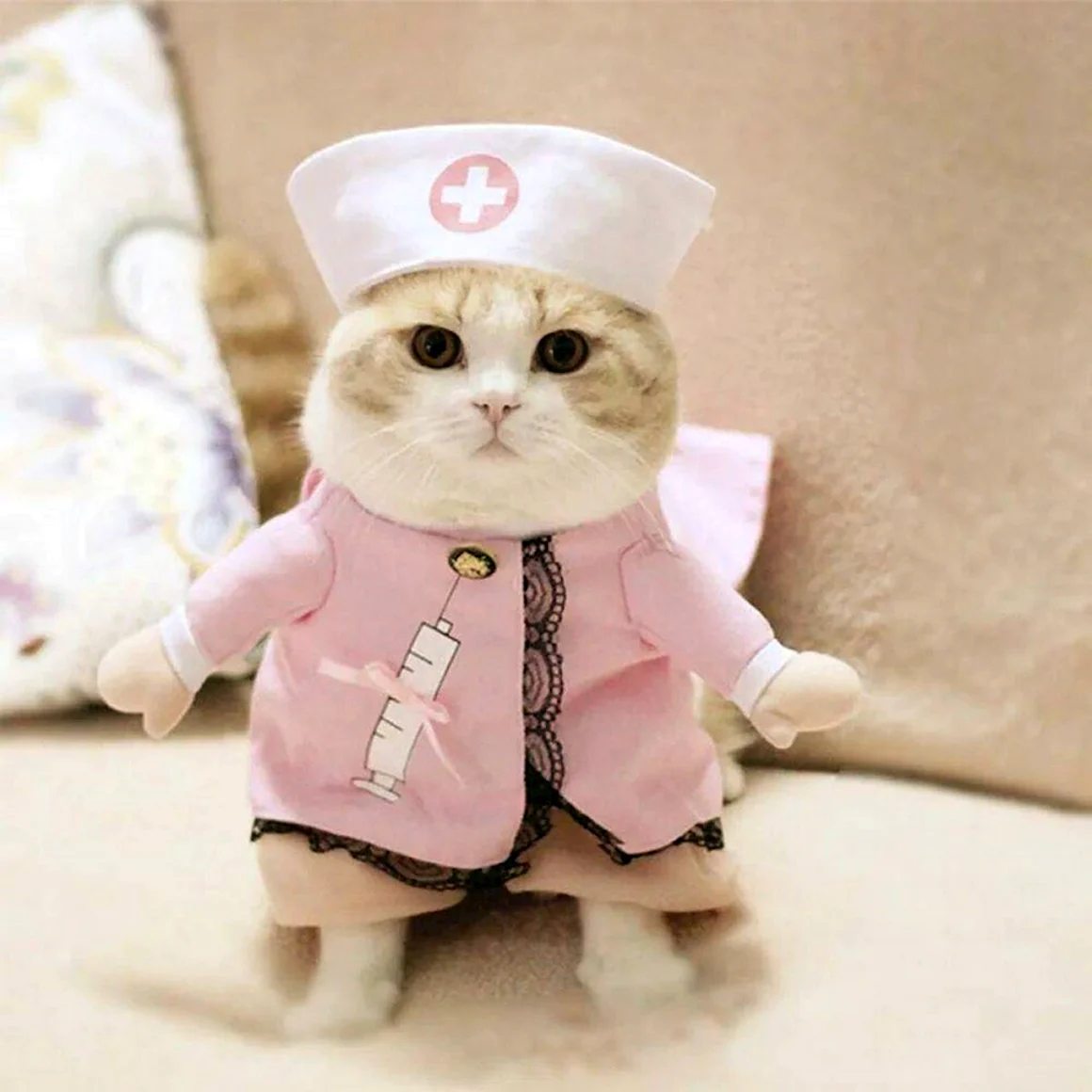 Костюм кошки
