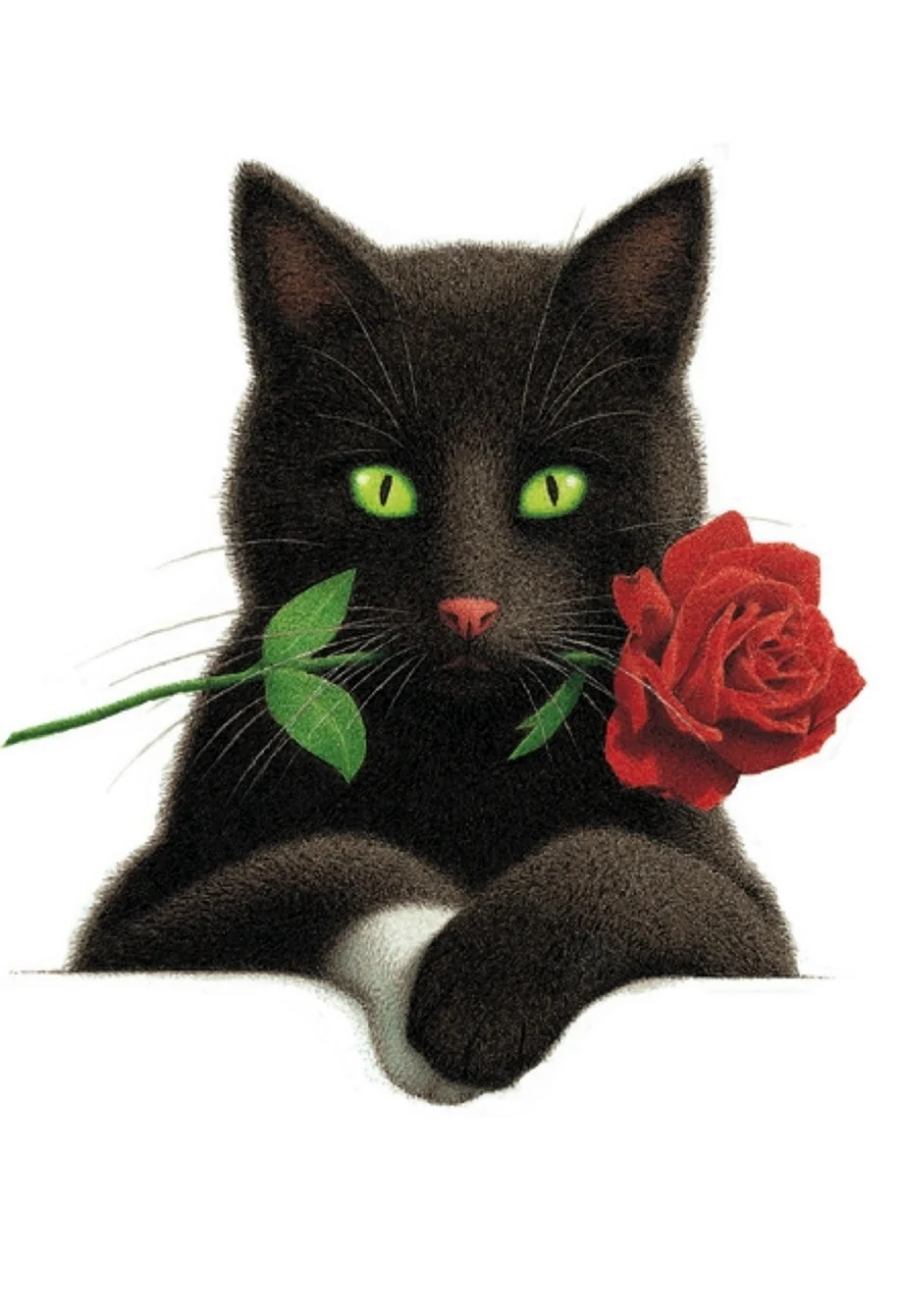 Кот и розы