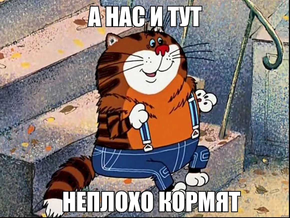 Кот из мультика Возвращение блудного попугая