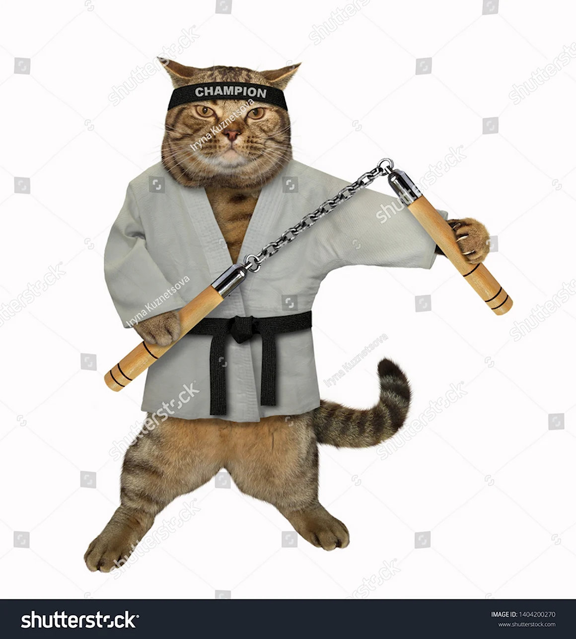 Кот каратист