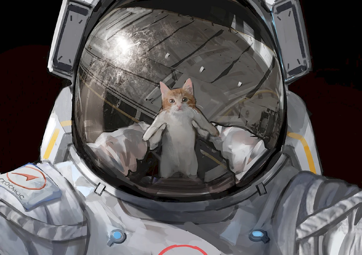 Кот космонавт