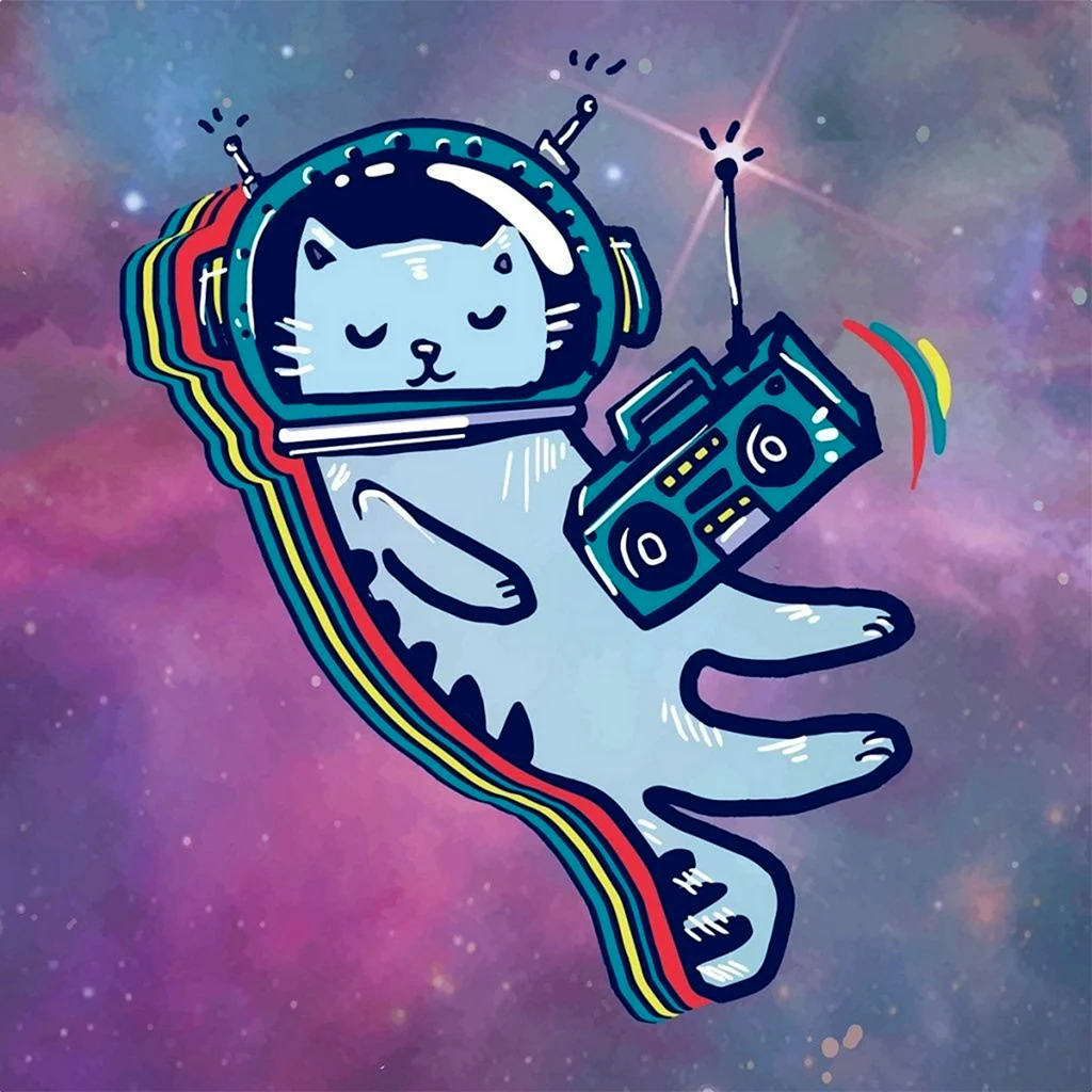 Кот космонавт