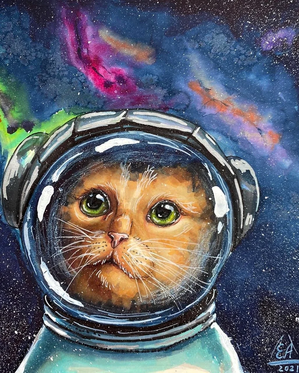 Кот космонавт