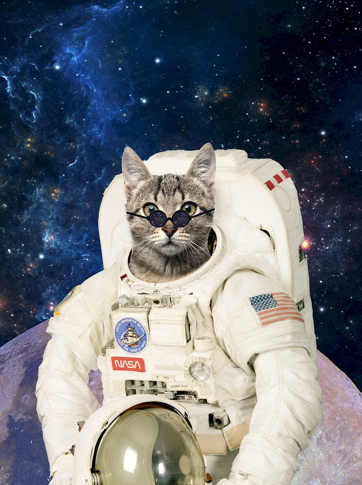 Кот космонавт