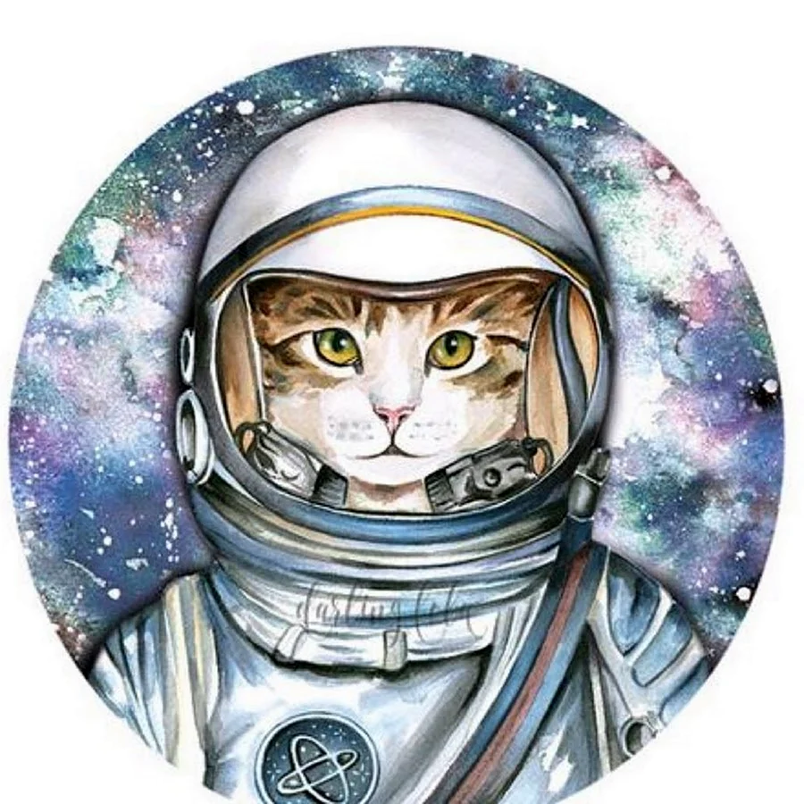 Кот космонавт
