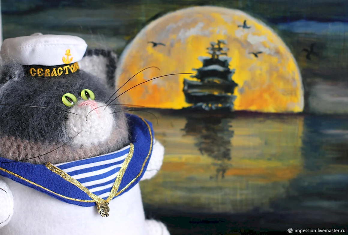 Кот матрос